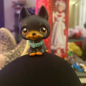 My little pet shop dog